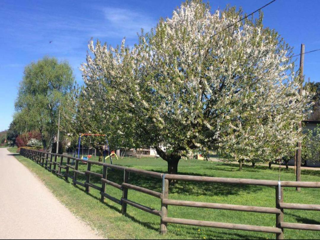 Azienda Agrituristica Scotti Somma Lombardo Eksteriør billede