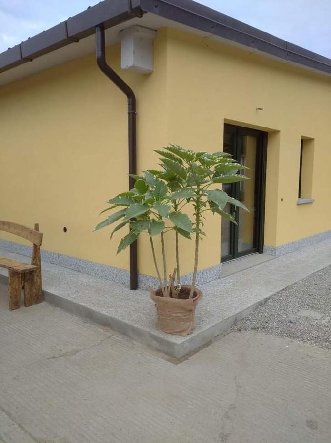 Azienda Agrituristica Scotti Somma Lombardo Eksteriør billede