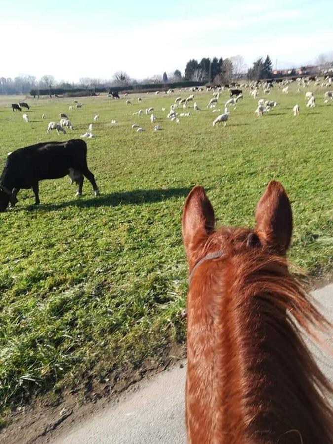 Azienda Agrituristica Scotti Somma Lombardo Eksteriør billede